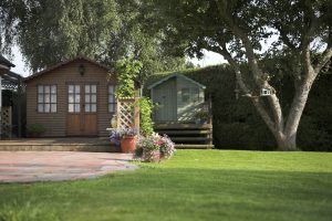 Private garden with tree and hedge. 