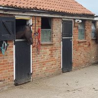 Equestrian stables with cctv